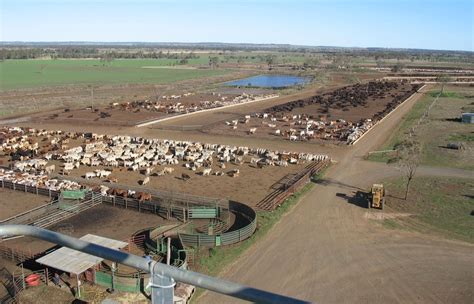 Morgan Feedyard has been permitted as a commercial feedlot. . Kansas feedlot for sale